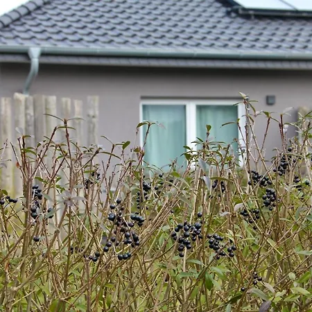 In Mit Terrasse Apartman *
